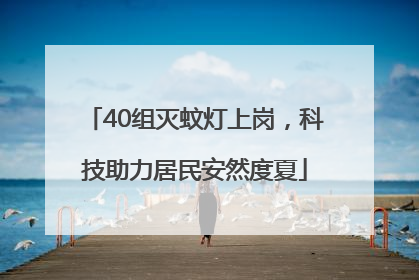 40组灭蚊灯上岗，科技助力居民安然度夏