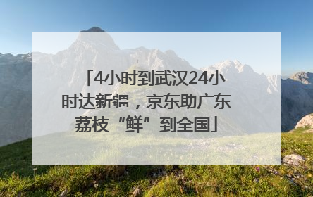 4小时到武汉24小时达新疆，京东助广东荔枝“鲜”到全国