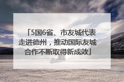 5国6省、市友城代表走进德州，推动国际友城合作不断取得新成效