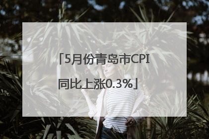 5月份青岛市CPI同比上涨0.3%