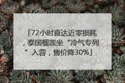 72小时直达近零损耗，泰国榴莲坐“冷气专列”入蓉，售价降30%