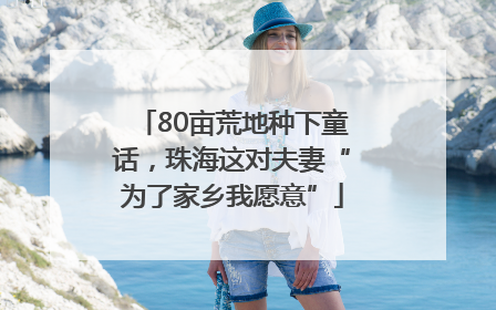 80亩荒地种下童话,珠海这对夫妻“为了家乡我愿意”