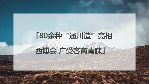 80余种“通川造”亮相西博会 广受客商青睐