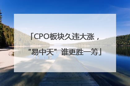 CPO板块久违大涨，“易中天”谁更胜一筹