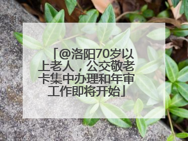 @洛阳70岁以上老人，公交敬老卡集中办理和年审工作即将开始