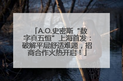 A.O.史密斯“数字真五恒”上海首发：破解平层舒适难题，招商合作火热开启！