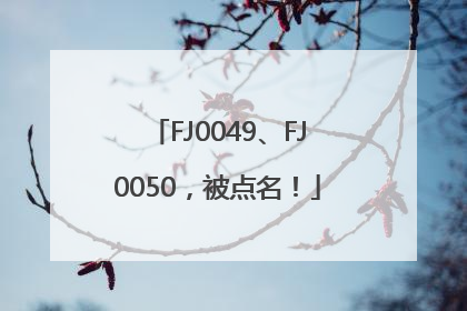 FJ0049、FJ0050，被点名！